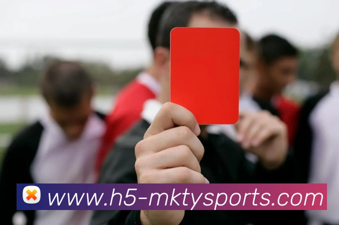 体育下注全站App